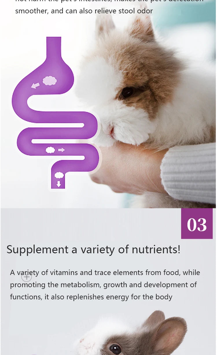 Nutritional Supplement Cream for Small Pets – Rabbits, Cats, Guinea Pigs & Hedgehogs