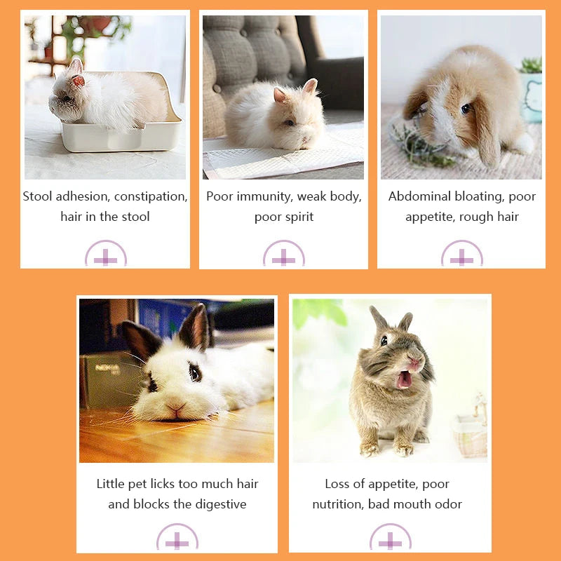 Nutritional Supplement Cream for Small Pets – Rabbits, Cats, Guinea Pigs & Hedgehogs