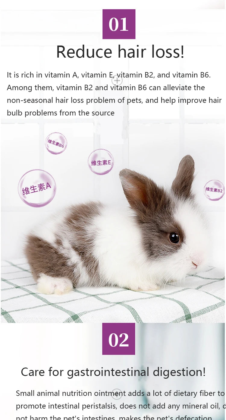 Nutritional Supplement Cream for Small Pets – Rabbits, Cats, Guinea Pigs & Hedgehogs