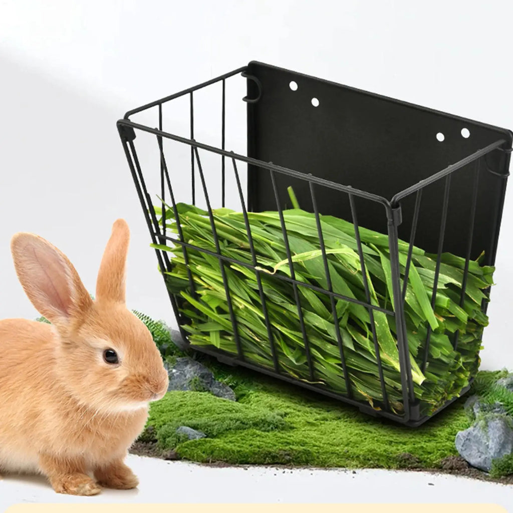 Wall-Mount Foldable Metal Hay Feeder for Rabbits