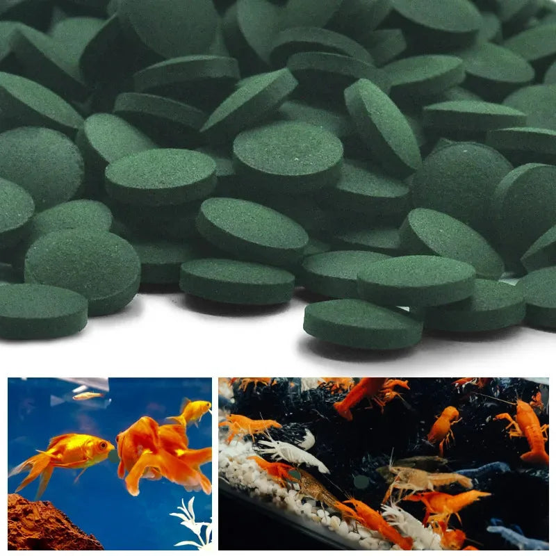 Spirulina Tablets for Fish & Crystal Red Shrimp – Pure Algae Enrichment Food