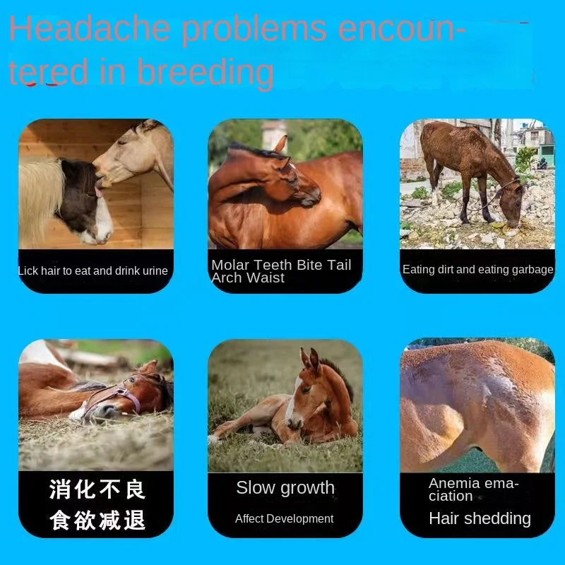 Trace Mineral Feed Additive for Livestock & Poultry – Horses, Cattle, Pigs, Sheep & Chickens