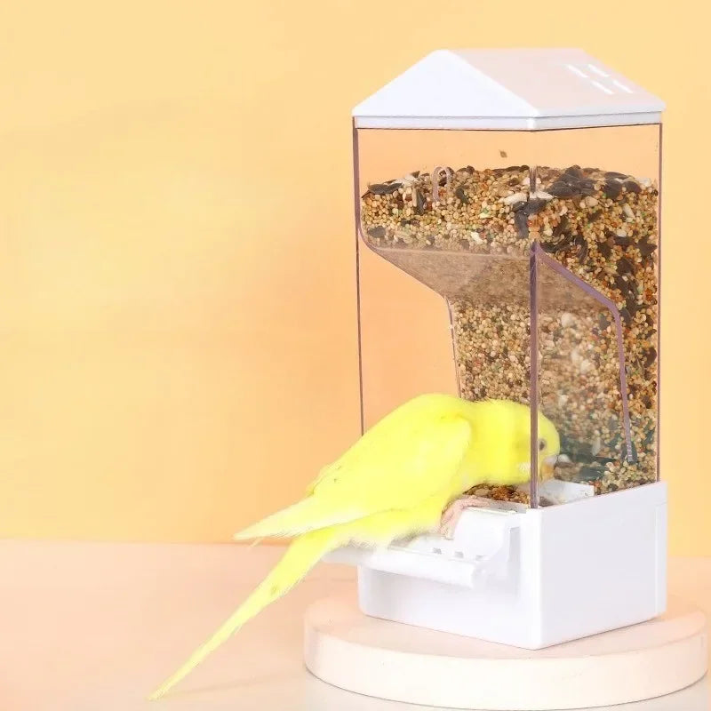 Automatic Bird Feeder with Husk Separation & Anti-Spill Design for Parrots