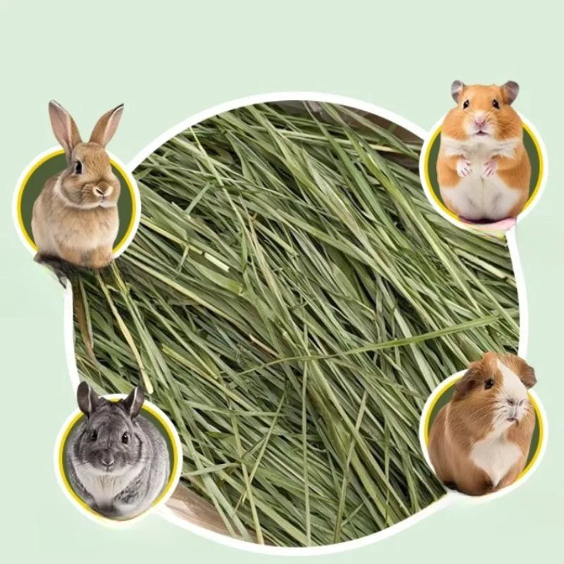 High-Fiber Dried Timothy Hay for Rabbits, Guinea Pigs & Chinchillas – Natural Dental Care Feed