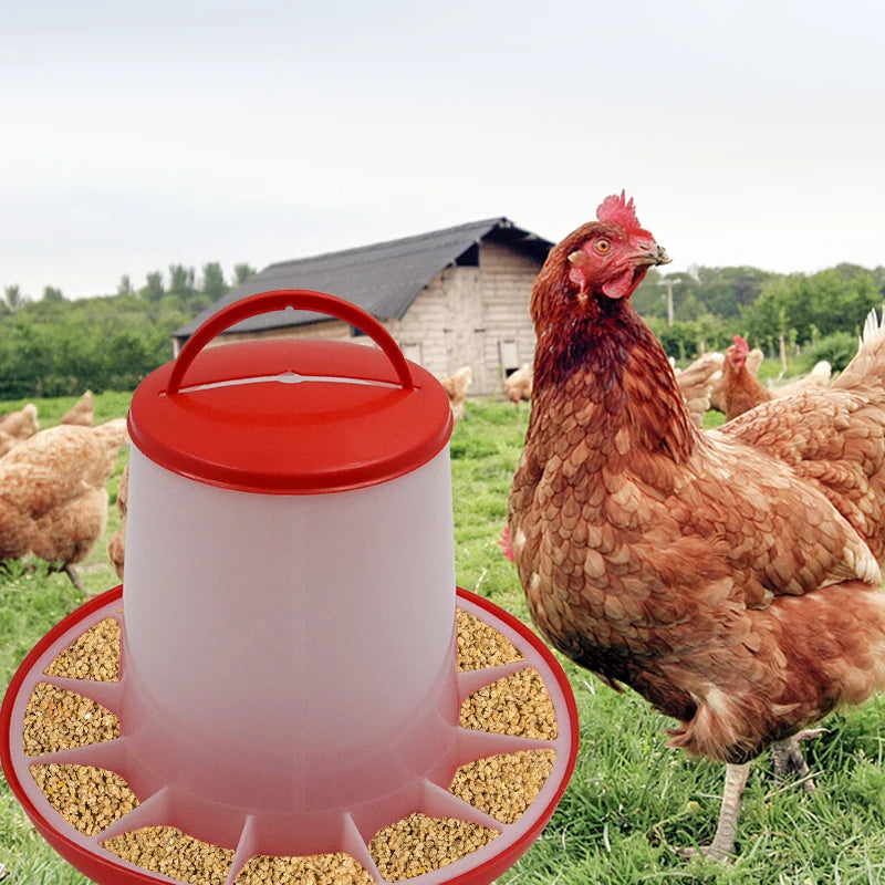 Automatic Chicken Feeder Bucket – 1.5 to 12kg Capacity