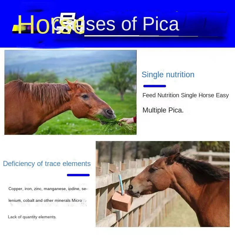 Trace Mineral Feed Additive for Livestock & Poultry – Horses, Cattle, Pigs, Sheep & Chickens
