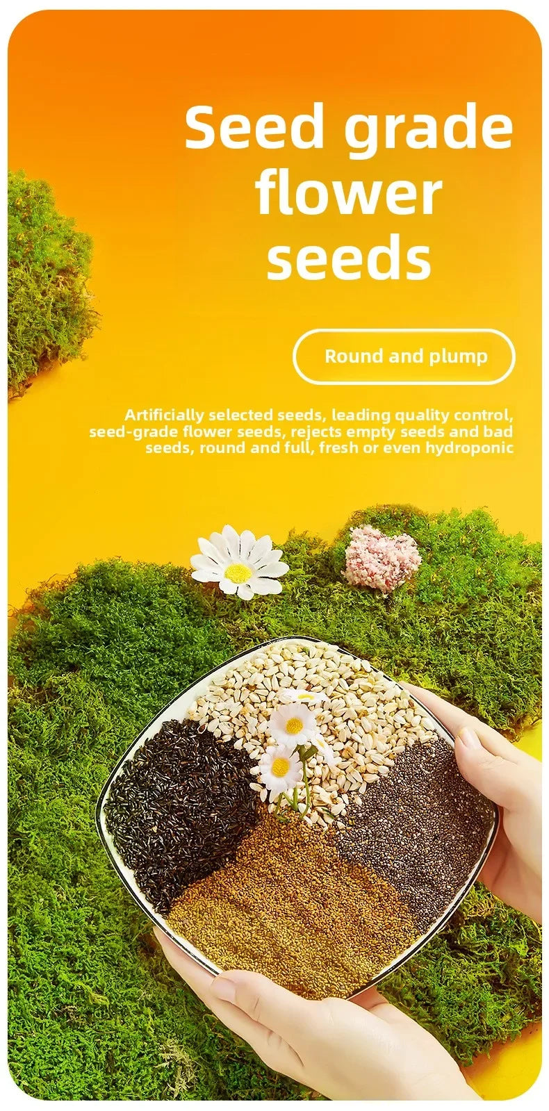 YEE Lovebird & Parrot Food – Nutrient-Rich Pellets with Canary Seeds & Dried Fruits