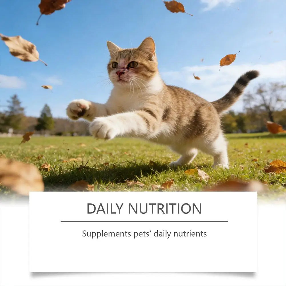Taurine Powder Supplement for Cats – Heart, Vision & Immune Support (200g) | Ships from CN