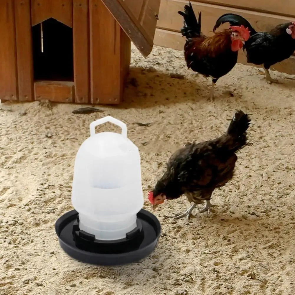 Automatic Chicken Waterer Drinker Bucket for Poultry – Large Capacity