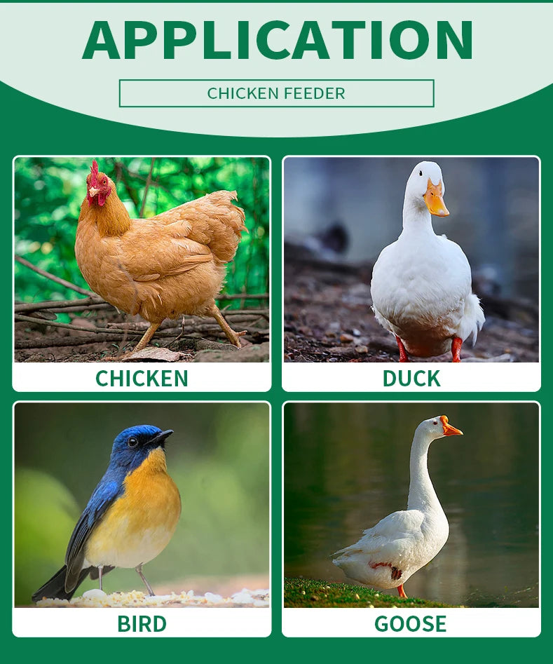Automatic Chicken Feeder Bucket – 1.5 to 12kg Capacity