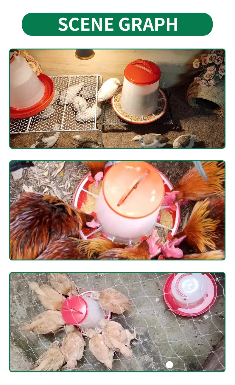 Automatic Chicken Feeder Bucket – 1.5 to 12kg Capacity