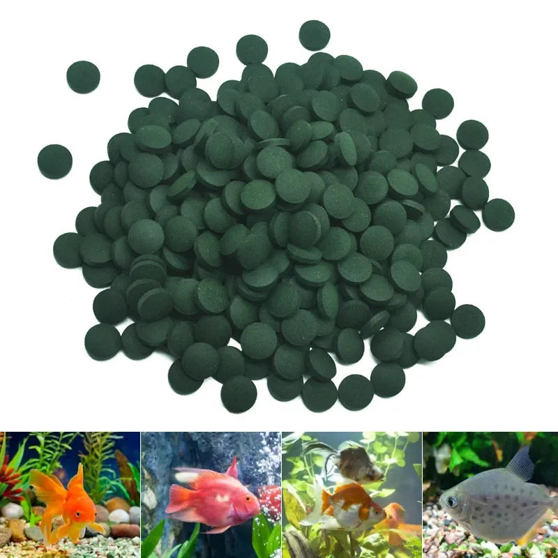 Spirulina Tablets for Fish & Crystal Red Shrimp – Pure Algae Enrichment Food