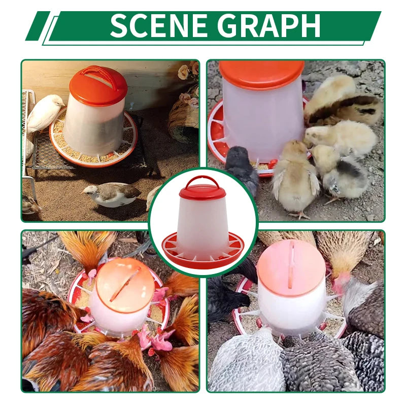 Automatic Chicken Feeder Bucket – 1.5 to 12kg Capacity