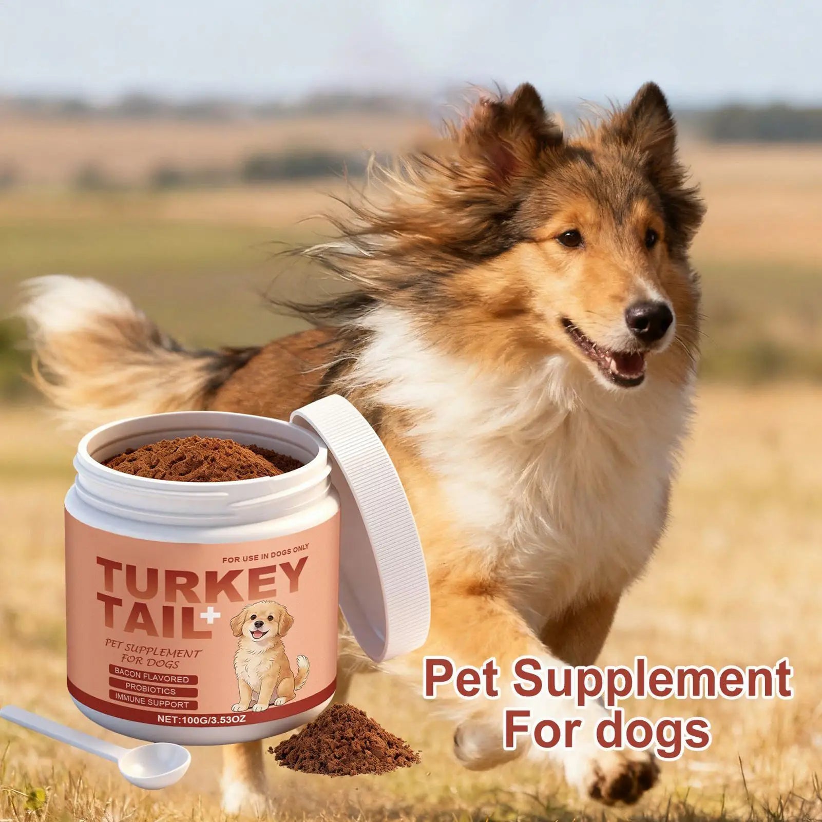 Yunzhi Turkey Tail Mushroom Powder for Cats & Dogs – 100g Immune Support Supplement