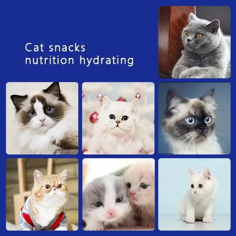 Cat Liquid Snack Strips – 30 Strips in 5 Flavors (Abalone, Salmon, Cod, Tuna & Chicken)
